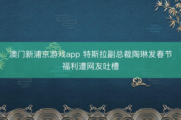 澳门新浦京游戏app 特斯拉副总裁陶琳发春节福利遭网友吐槽