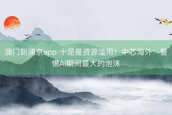 澳门新浦京app 十足是资源滥用！中芯海外：警惕AI期间最大的泡沫