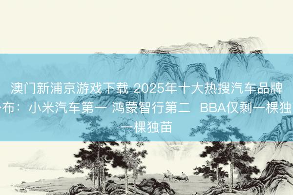 澳门新浦京游戏下载 2025年十大热搜汽车品牌公布:小米汽车第一 鸿蒙智行第二 BBA仅剩一棵独苗