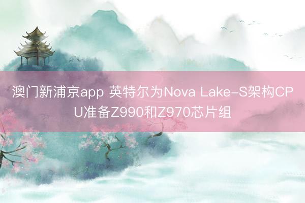 澳门新浦京app 英特尔为Nova Lake-S架构CPU准备Z990和Z970芯片组