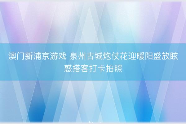 澳门新浦京游戏 泉州古城炮仗花迎暖阳盛放眩惑搭客打卡拍照
