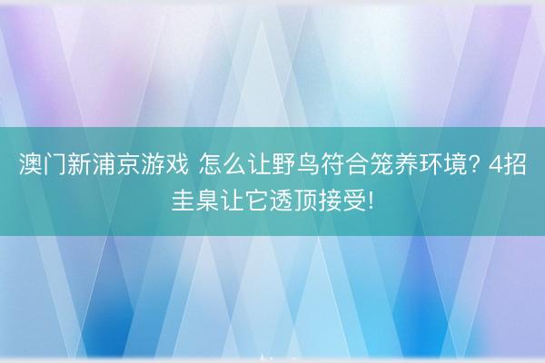 澳门新浦京游戏 怎么让野鸟符合笼养环境? 4招圭臬让它透顶接受!