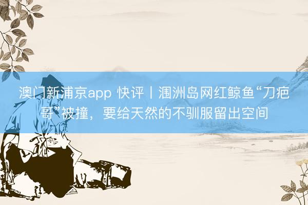 澳门新浦京app 快评丨涠洲岛网红鲸鱼“刀疤哥”被撞,要给天然的不驯服留出空间