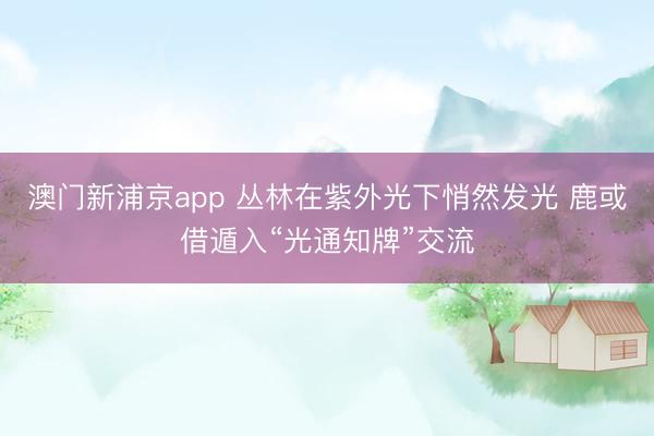 澳门新浦京app 丛林在紫外光下悄然发光 鹿或借遁入“光通知牌”交流