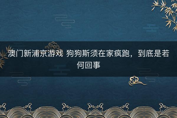 澳门新浦京游戏 狗狗斯须在家疯跑，到底是若何回事