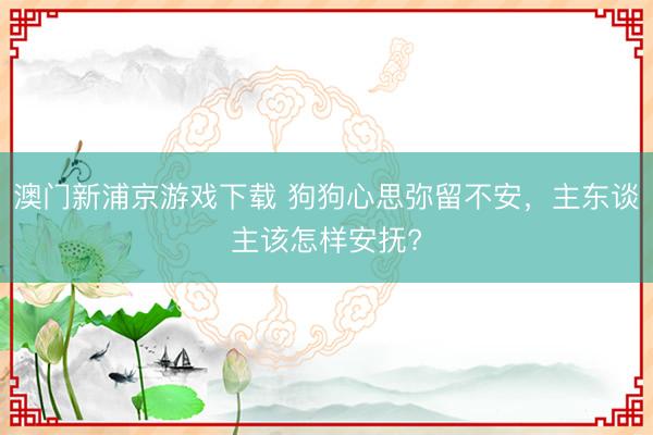 澳门新浦京游戏下载 狗狗心思弥留不安，主东谈主该怎样安抚?