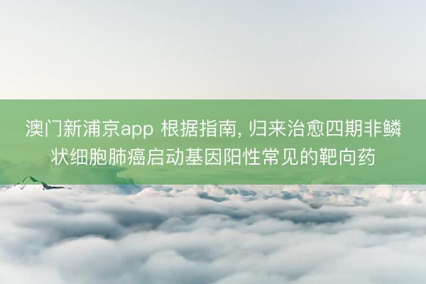 澳门新浦京app 根据指南, 归来治愈四期非鳞状细胞肺癌启动基因阳性常见的靶向药