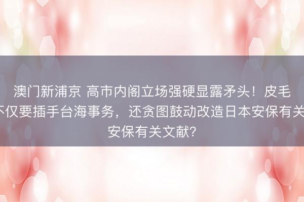 澳门新浦京 高市内阁立场强硬显露矛头！皮毛放话不仅要插手台海事务，还贪图鼓动改造日本安保有关文献？