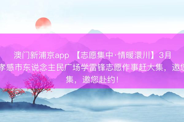 澳门新浦京app 【志愿集中·情暖澴川】3月3日，孝感市东说念主民广场学雷锋志愿作事赶大集，邀您赴约！