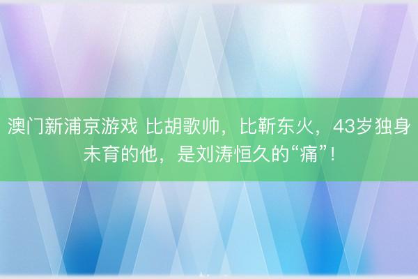 澳门新浦京游戏 比胡歌帅，比靳东火，43岁独身未育的他，是刘涛恒久的“痛”！