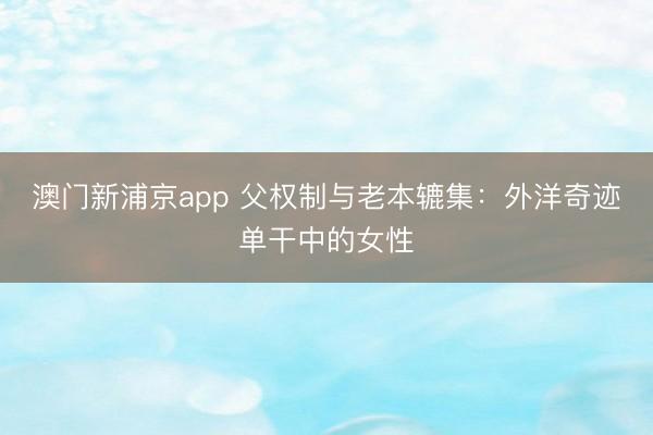 澳门新浦京app 父权制与老本辘集：外洋奇迹单干中的女性