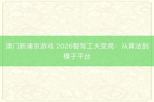 澳门新浦京游戏 2026智驾工夫变局：从算法到模子平台