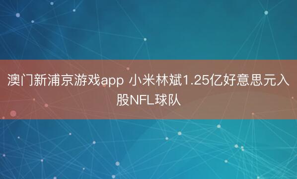澳门新浦京游戏app 小米林斌1.25亿好意思元入股NFL球队